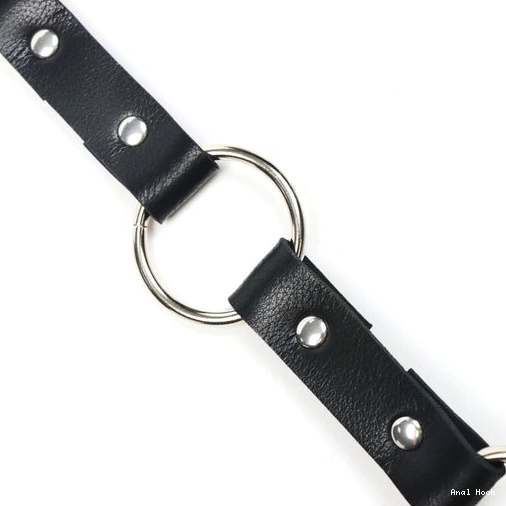 with and Anal Kinky EverydayUse Hook Leash 5853 Collar 1110